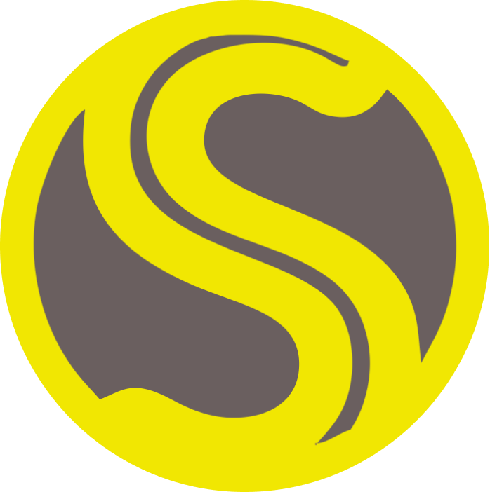 Logo Safety Solutions